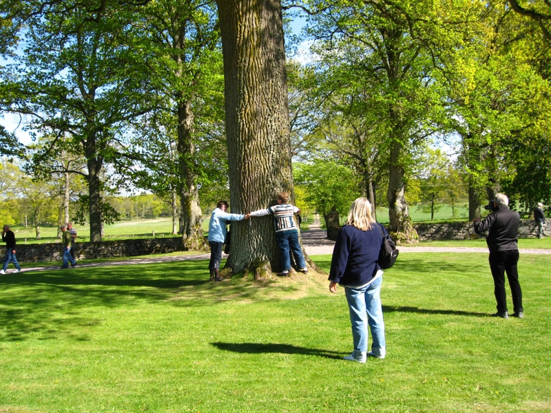 Img_3946t.jpg - 82975 Bytes